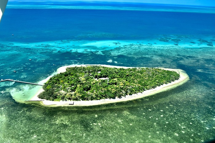 Dying coral reefs can be saved by transplanting from healthy ones: Study