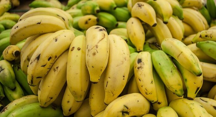 60% of banana growing regions threatened due to rising heat: Report