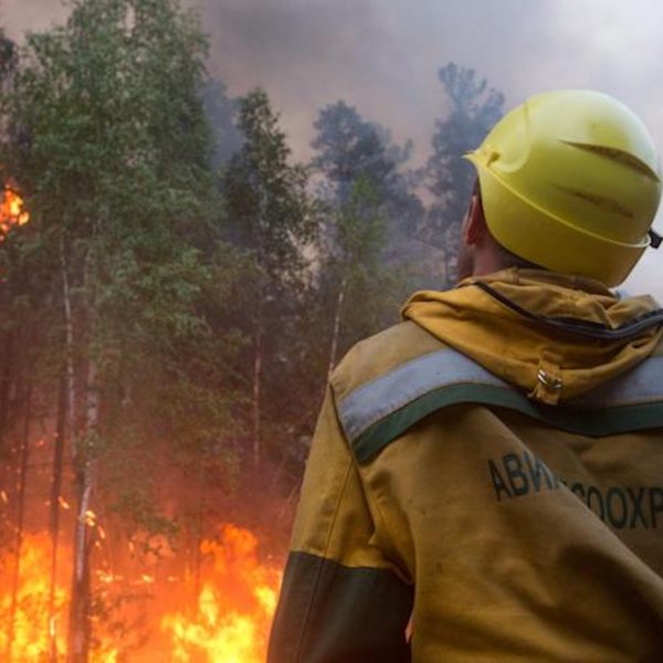 Wildfires emitted more than double Germany’s carbon emissions this year