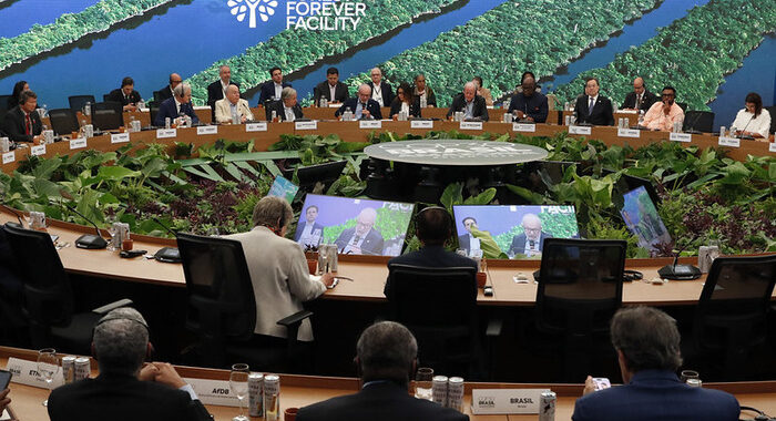 Over $5.5 Billion Announced for TFFF to End Deforestation at COP30