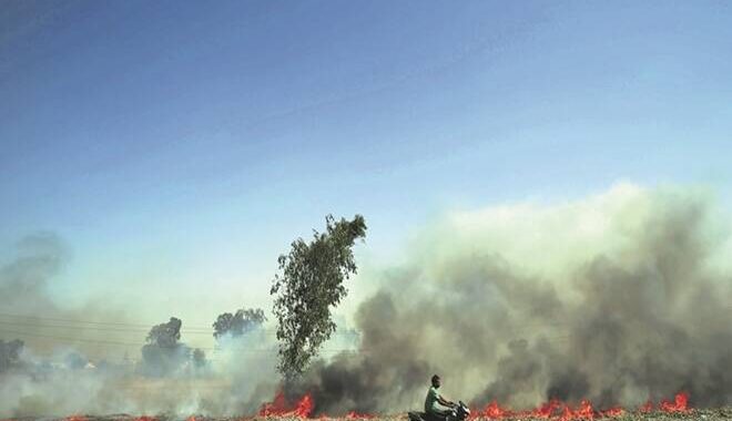 Top court summons chief secys of 4 states over stubble burning incidents