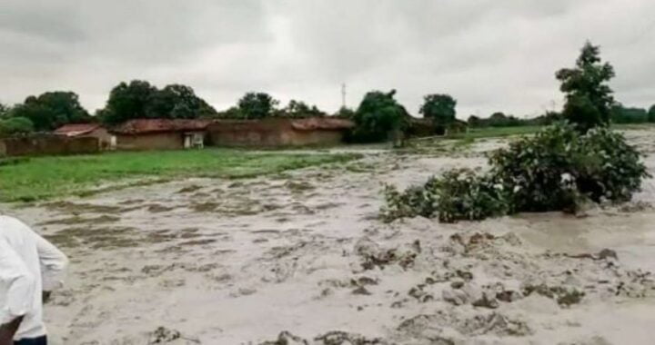 Expert committee recommends imposing huge fines on NTPC, Essar Power for ash dyke breaches in Singrauli