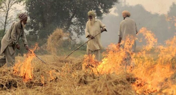 Crop burning already: ‘‘Early varieties’ of crops being harvested