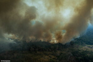 Amazon fires: Brazil govt says situation returning to normal, but experts warn ‘the worst is yet to come’