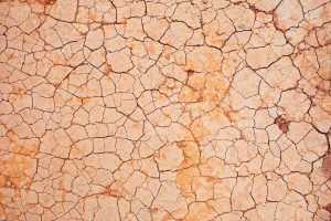 India to host UN meet focused on land degradation, but country still unclear on 2030 target