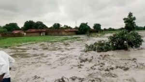 Toxic ash leak: Essar ordered to pay affected Singrauli farmers ₹10 crore
