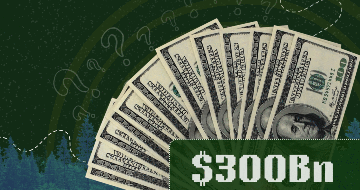 The $300 Billion Question Ahead of COP30