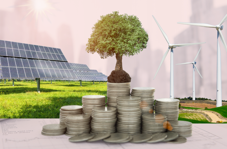 Green energy boom or bubble? Navigating the risks and rewards in India’s market