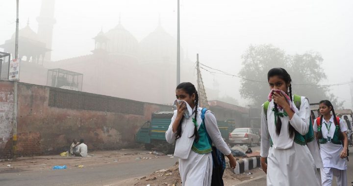 Long exposure to air pollution increases risks of autoimmune diseases
