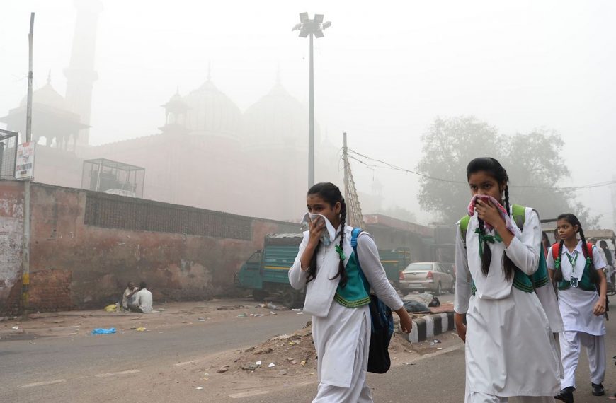 Long exposure to air pollution increases risks of autoimmune diseases