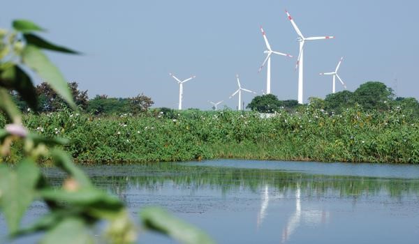 PPA row: Stopped by court, Andhra stumps wind energy firms, curtails power in peak season
