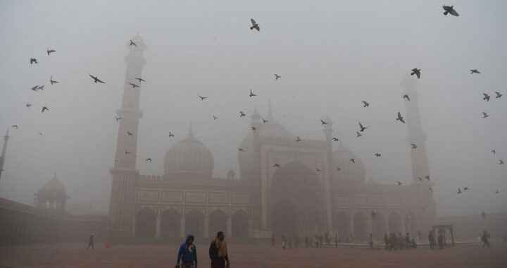 Ministers deny link between air pollution and deaths, discredit own govt’s study