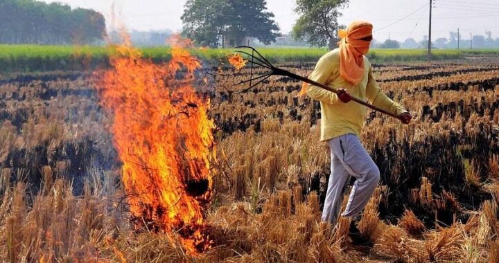 Despite subsidy, machines to tackle crop residue remain unaffordable for Punjab farmers