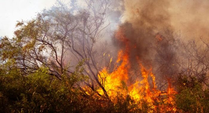 Top 10 climate disasters in 2025 cost a combined $122 billion in damages