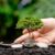 India’s climate finance revolution: how financial institutions can transform with the new taxonomy