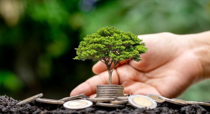 India’s climate finance revolution: how financial institutions can transform with the new taxonomy