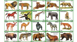 One million species close to extinction: IPBES’s upcoming report expected to conclude