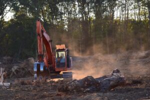 Tropical Deforestation Linked to Thousands of Heat-Related Deaths Annually: Report