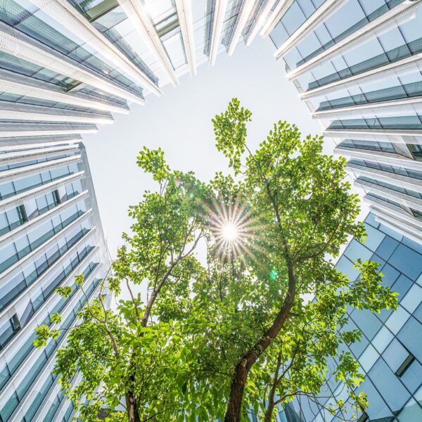 The rise of sustainability reporting and ESG investing