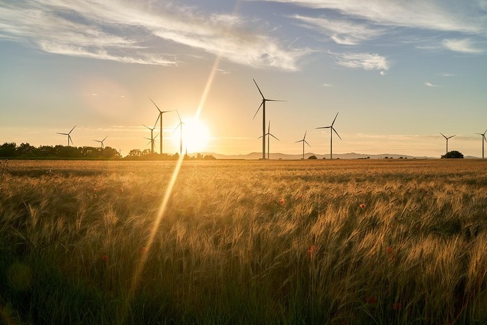 India’s total renewable energy capacity grows 17% to 227 GW in May: Pralhad Joshi
