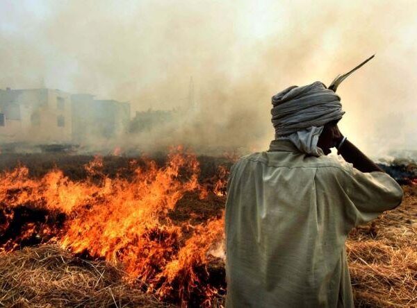 Stubble burning: India to set up National Mission for using biomass in coal plants