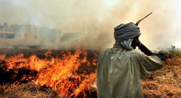 Stubble burning: India to set up National Mission for using biomass in coal plants
