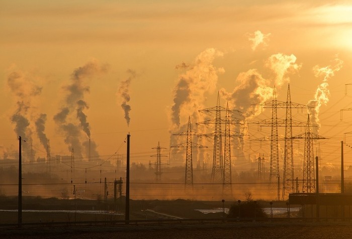 46% posts in pollution boards vacant, states and UTs miss NGT deadline to fill these