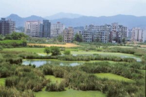 Centre proposes diluting green clearance norms