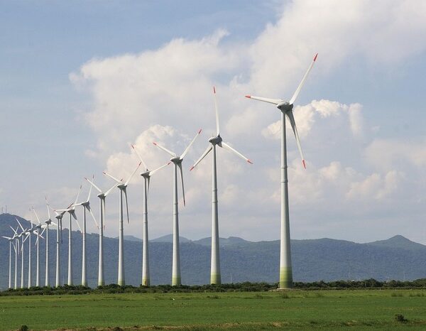 China’s renewable energy expansion can fuel global energy transition: Report