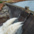 Centre rebuilds hydro power project that ‘aggravated cloudburst disaster’ in 2013 