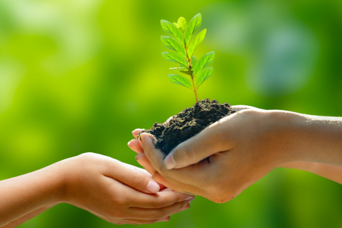 Hope for 1 lakh trees: Karnataka refuses to handover Sandur forest for mining