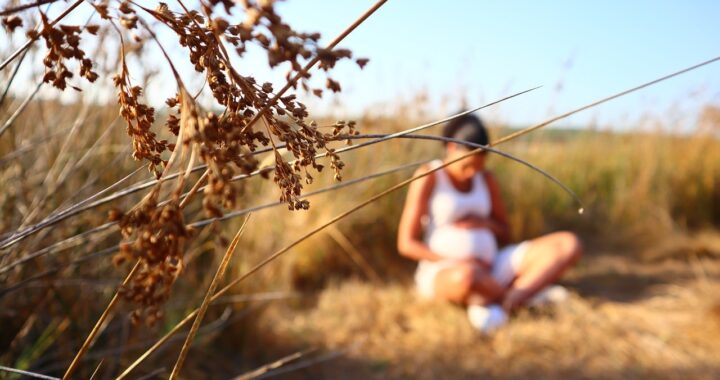 Climate change-driven heatwaves are making pregnancy riskier: Report