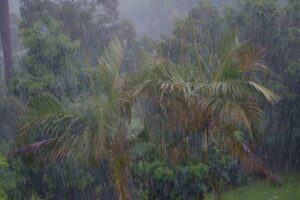 At least 10 dead in heavy rain in Maharashtra, Mumbai crosses 3000 mm threshold