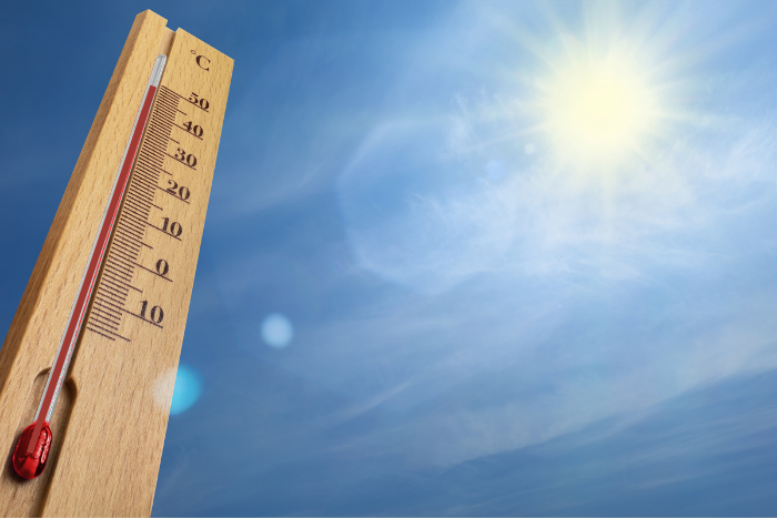 Delhi temperatures hit a record high, several casualties reported in Rajasthan