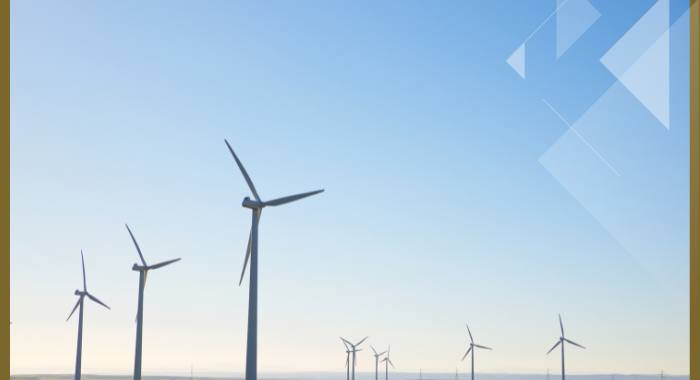2023 stood out as the best year for wind energy: Report