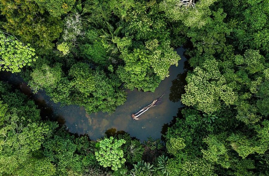 The quiet rise of the alternative to carbon markets