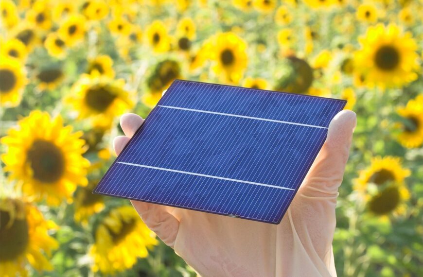 Government Proposes for ALMM Expansion for Solar Backward Integration