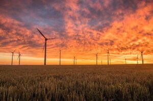 Renewables trump fossil fuels in efficiency, cost, environmental factors: Report