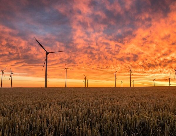 Renewables trump fossil fuels in efficiency, cost, environmental factors: Report